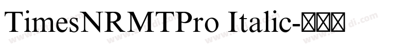 TimesNRMTPro Italic字体转换